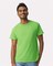 2 Pack: Gildan® Ultra Cotton Crewneck Short Sleeve T-Shirt 100% US Cotton for Casual Blank Tee